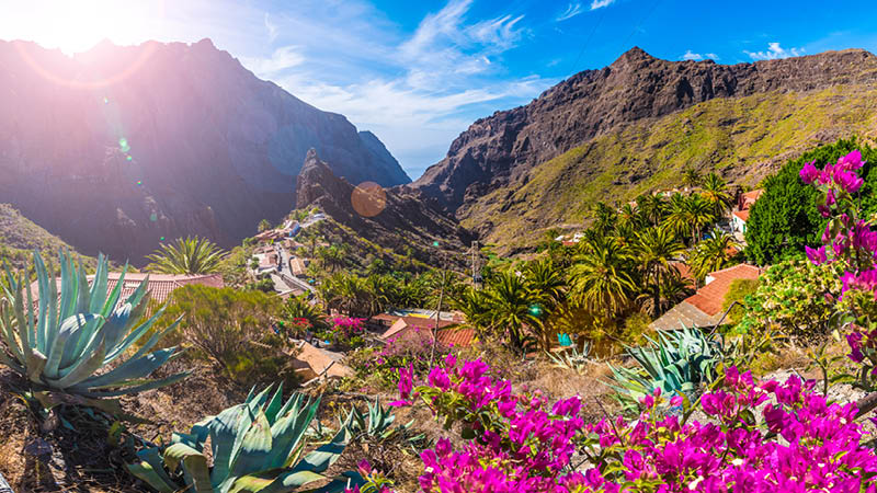 Udforsk Tenerifes sknne landskab